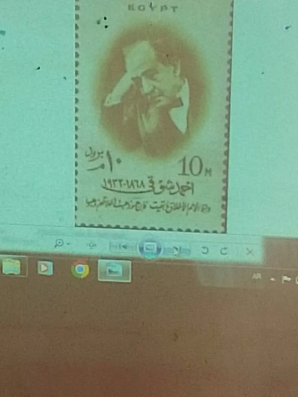 جانب من الفعاليات