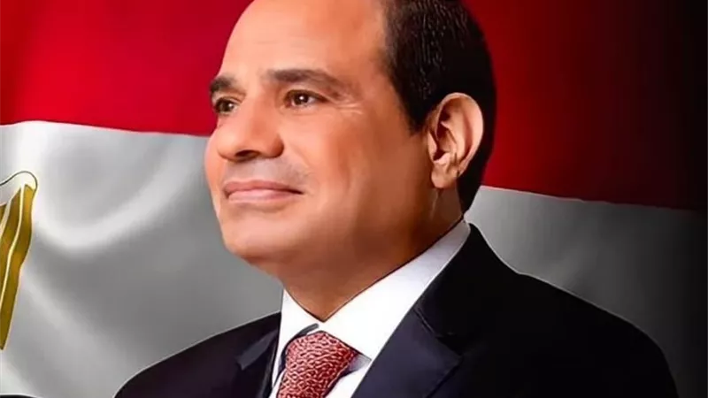 الرئيس السيسي يستقبل رئيس فيتنام .. 6 عقود من العلاقات التاريخية والاستراتيجية