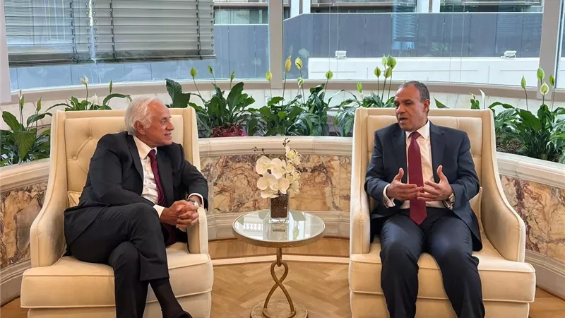 وزير الخارجية يؤكد دعم مصر لمشروع الربط الكهربائى مع اليونان 