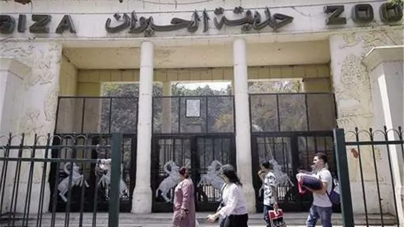 حديقة الحيوان تتهيأ لاستعادة مجدها العريق بافتتاح ضخم|خاص