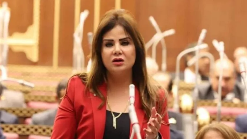 النائبة أمل رمزي: أحلام 
