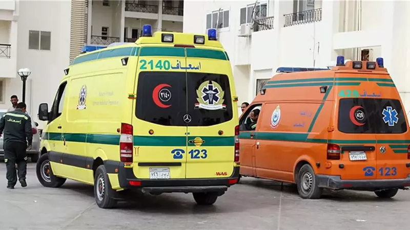 «الدم بقي ميه» شاب ينهي حياة نجل عمه بسبب خلافات الميراث