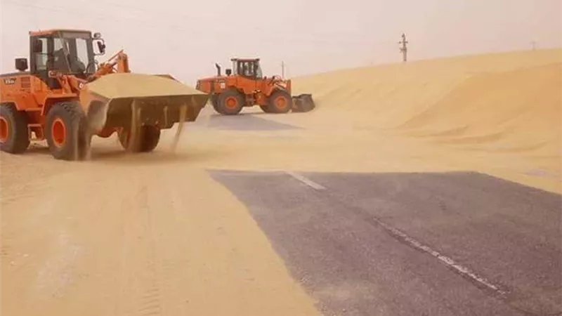 لحماية الأرواح.. رفع الرمال من على طرق جنوب سيناء 