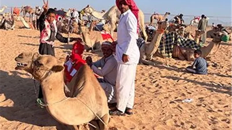 وسط حشود جماهيرية.. العلمين تحتضن مهرجان سباقات الهجن 