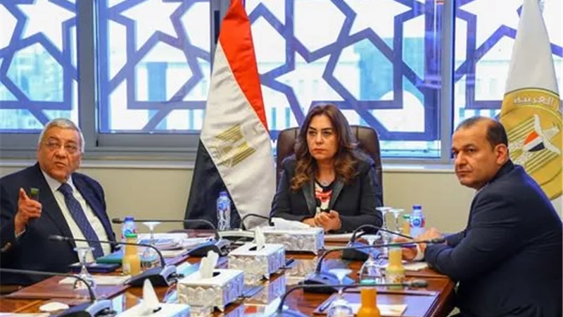 وزيرة التنمية المحلية تتابع مستجدات تنفيذ تطوير منطقة العرب ومدينة رشيد