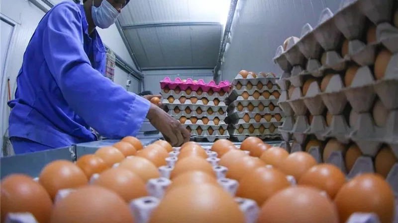 إعادة تشغيل مشروع 