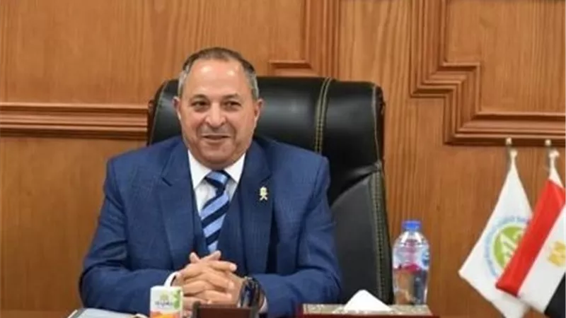 عجول في الشارع.. محافظ بورسعيد يمهل أصحابها 72 ساعة لإزالتها أو مصادرتها