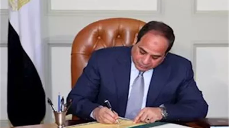 إنشاء جامعة شرق العاصمة وتعيين قيادات جامعية.. السيسي يصدر قرارات جمهورية | تفاصيل