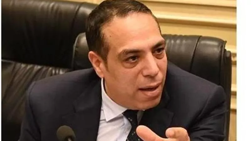 النائب الصافي عبد العال: مصر قادت تحركًا حاسمًا لوقف العدوان على غزة