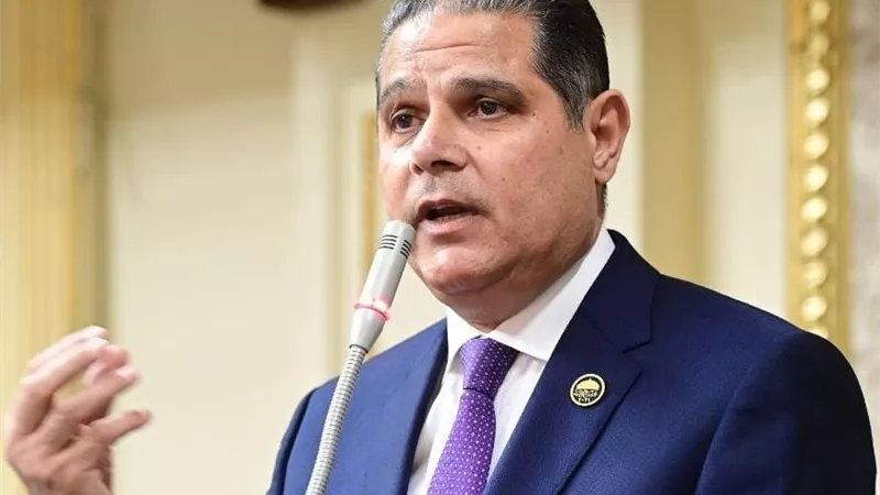 برلماني: جهود الرئيس وضغط القاهرة السياسي وضع المنطقة على مسار السلام