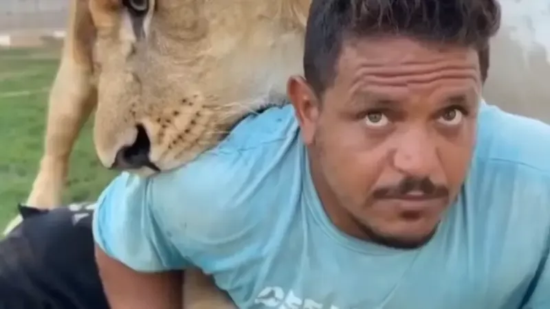 القضاء الليبي ينتصر للعامل المصري بعد واقعة الأسد.ماذا حدث