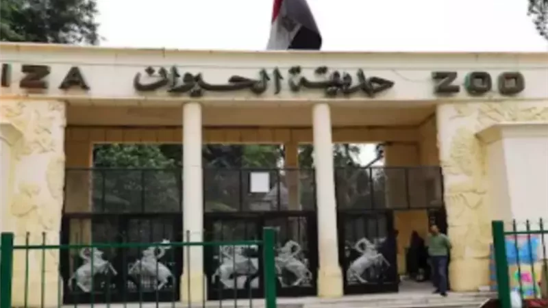 الموعد النهائي لافتتاح حديقة الحيوان بالجيزة|خاص