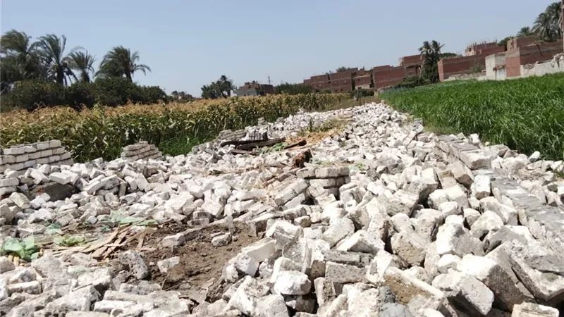 رفع 60 طن المخلفات وتحرير 16 مخالفة تموينية في بنى سويف