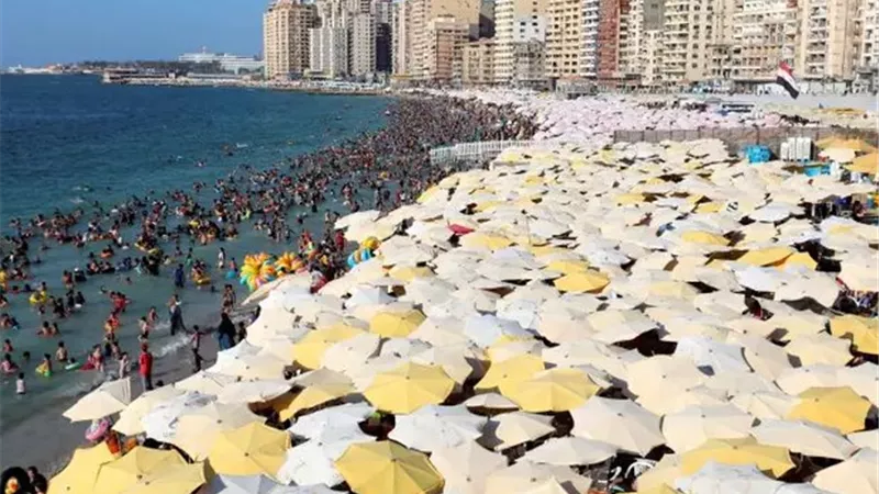 بعد غرق 6 طلاب.. محافظ سوهاج يتابع إنهاء إجراءات المتوفين 