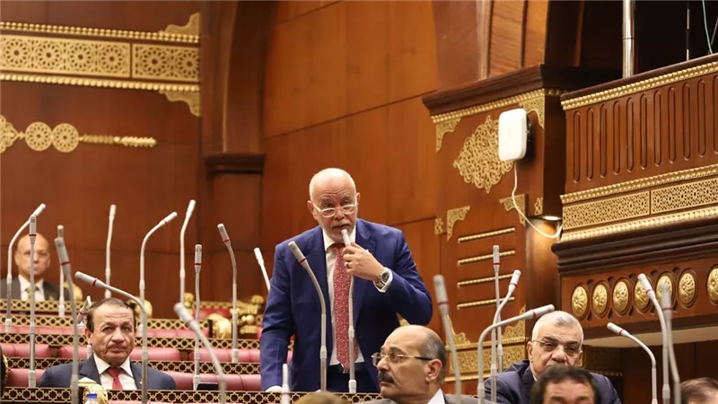 نائب: «قمة الدوحة» رسالة ضغط دولية والعرب أمام لحظة حاسمة 