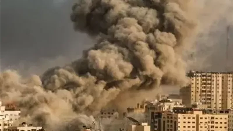 النائب حسن عمار: مصر تدين بقوة خطة الاحتلال الإسرائيلي للسيطرة على غزة