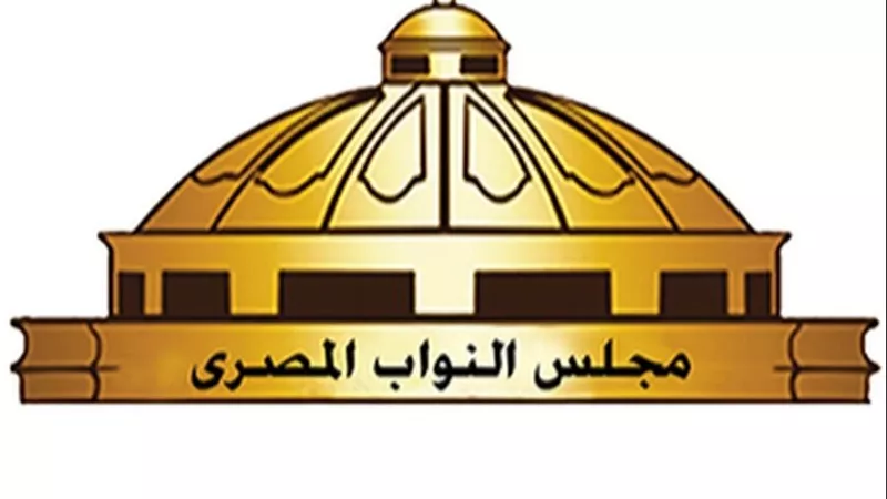 نواب: المجتمع الدولي يدرك دور مصر القوي في حفظ الاستقرار بالمنطقة العربية