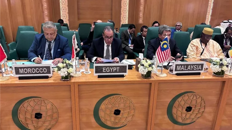 عبدالعاطي: مصر ترفض الانتهاكات الإسرائيلة السافرة وارتكابها الإبادة الجماعية بحق شعب أعزل