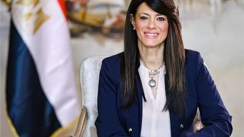 تنفيذ المنظومة القومية لتسجيل المواليد والوفيات للمصريين المقيمين بالخارج