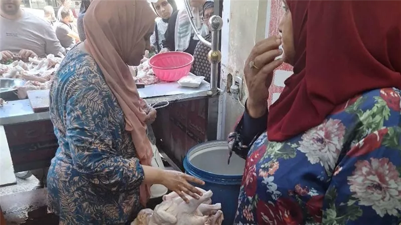 المنوفية: إعدام مواد غذائية مجهولة المصدر ببركة السبع