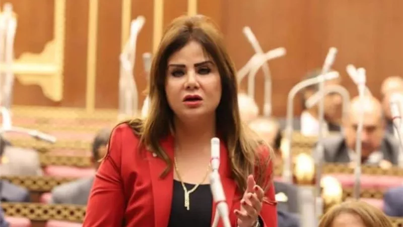 النائبة أمل رمزي: اعتقال رئيس شباب المصريين بالخارج جريمة سياسية وانحياز بريطاني فاضح للإخوان