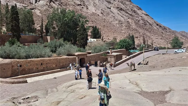 انطلاق فعاليات ملتقى دهب العربي الأول للرسم والتصوير بمشاركة 11 دولة عربية