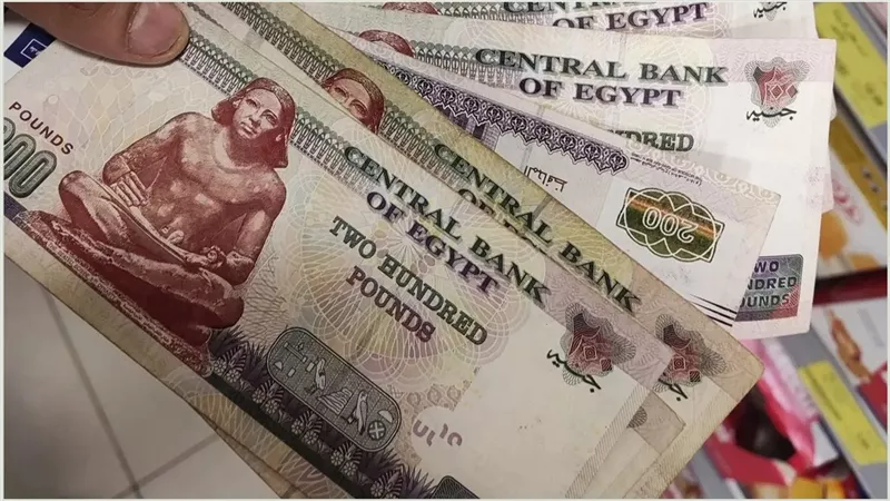  تعرف على طرق الحصول على منحة المولد النبوي الشريف 2025