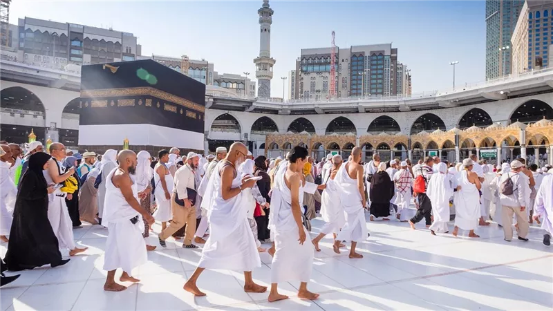 لجان بعثة الحج السياحي تواصل انتشارها بمقار إقامة الحجاج في مكة المكرمة 