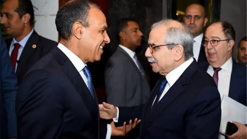 وزير الخارجية يلتقي رئيس الوزراء اللبناني في أول زيارة له إلى مصر 