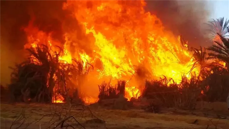 إصابة 10 أشخاص في 3 حرائق متفرقة بمحافظة الغربية