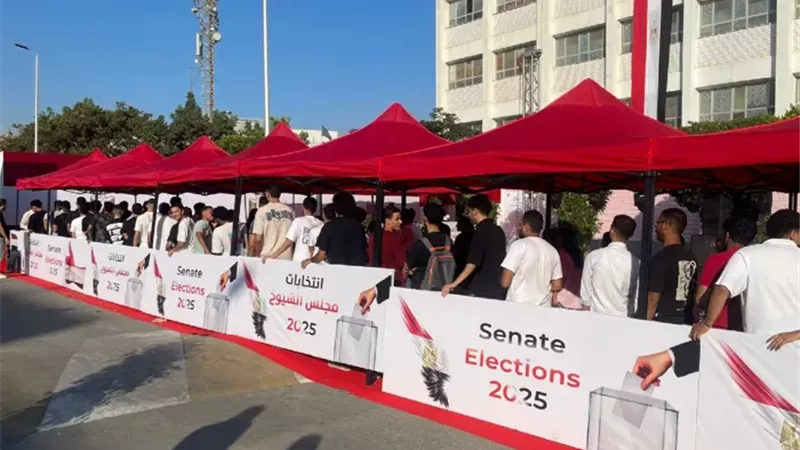 إقبال متزايد على لجان الإسماعيلية للمشاركة في 