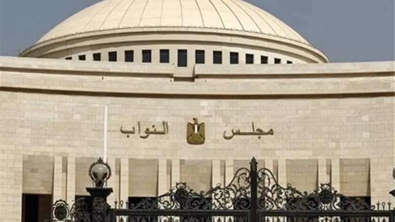 نواب: وعي المصريين هو خط الدفاع الأول ضد مخططات الإخوان لتشويه صورة الدولة