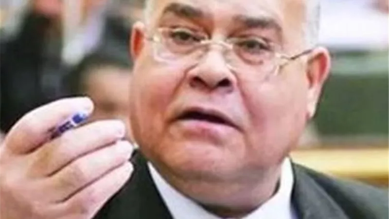الشهابي: مصر تواصل جهودها لدعم القضية الفلسطينية ورفض مخططات التهجير