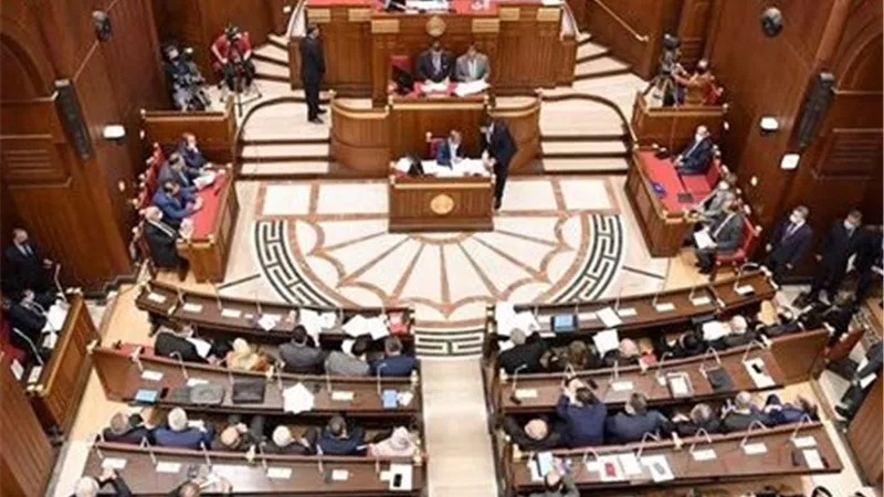 من البلاتوه إلى قاعة البرلمان.. نجوم حصلوا على لقب 