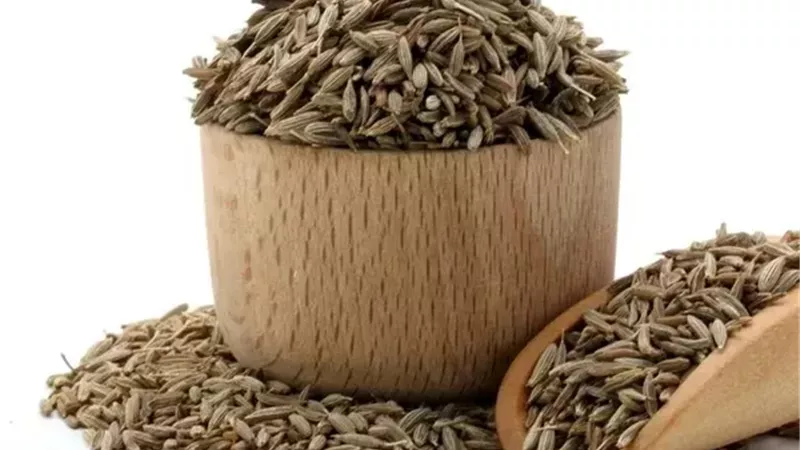 الكمون.. كنز قديم يعزز صحة القلب والهضم ويساعد على خسارة الوزن