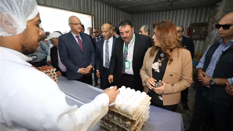 من 30 إلى 60 مليون بيضة.. القليوبية توقع عقدًا لزيادة إنتاج مشروع الخانكة