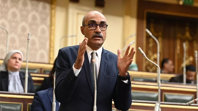 رئيس برلمانية 