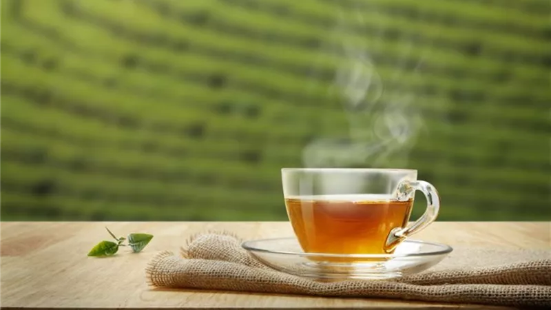 فوائد دمج الشاي الأخضر والكافيين على صحتك