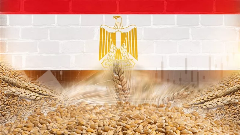 مصر تصدر مخبوزات بـ 9 مليارات جنيه في 7 أشهر والخبز البلدي يتصدر
