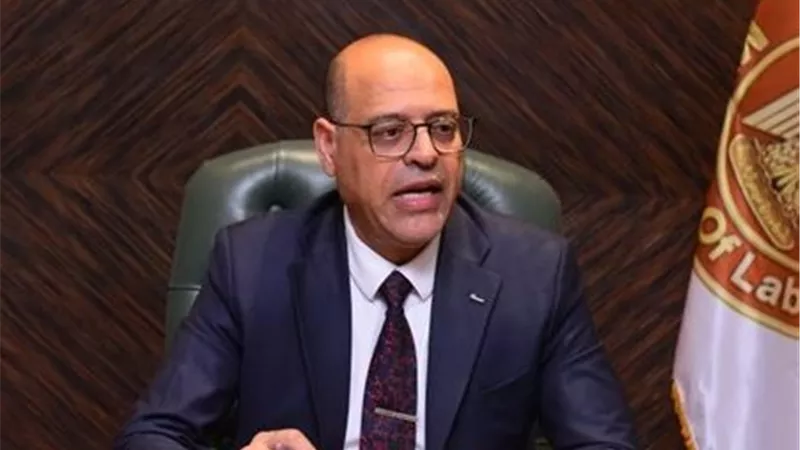 وزير العمل: حذف بند حبس أصحاب الأعمال بقانون العمل لتشجيع الاستثمارات