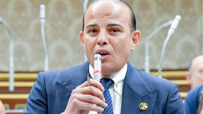 برلماني: مصر تضع قضية المياه في قلب النقاشات الدولية لضمان الأمن الغذائي 