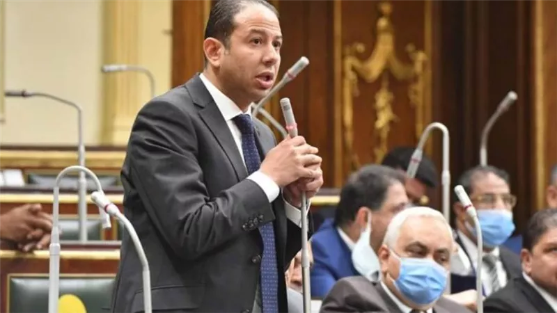 برلماني: استضافة مصر لاجتماعات العشرين إنجاز تاريخي ورسالة ثقة 