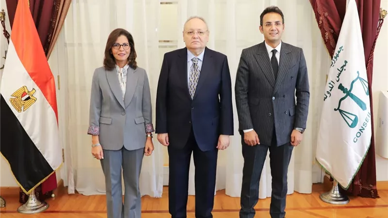 رئيس مجلس الدولة يؤكد الدور المهم لـ 