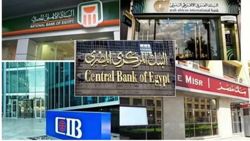 تقرير: فائض الأصول الأجنبية لدى البنوك المصرية يقفز إلى 18.5 مليار دولار