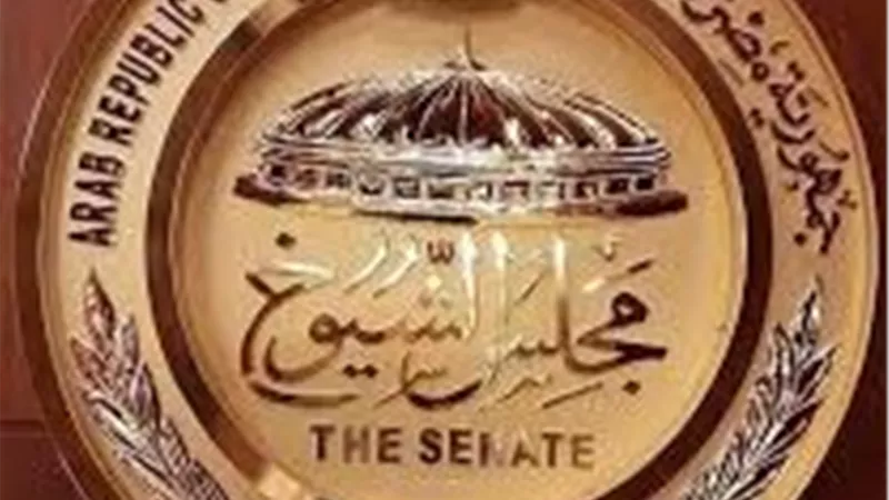 الجريدة الرسمية تنشر قرار الهيئة الوطنية للانتخابات بشأن نتيجة إعادة 