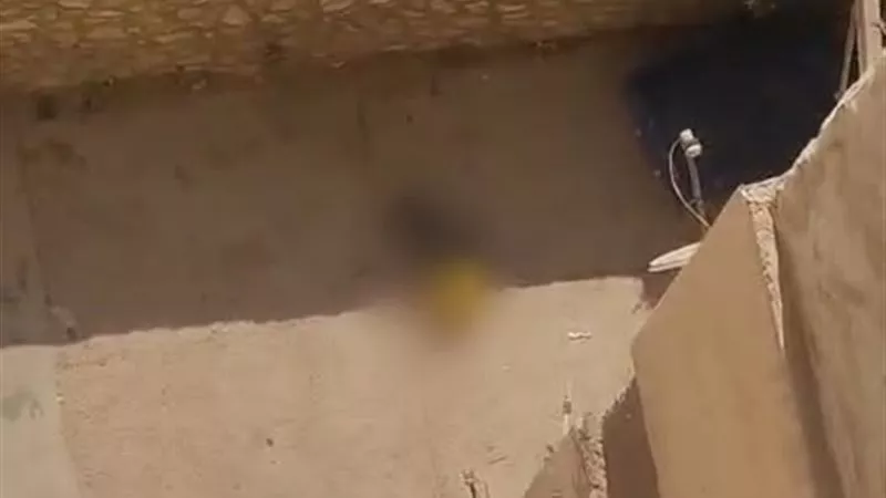  نشرة حوادث «إيجبتك».. تطورات جديدة في وفاة طفل 15 مايو.. وضبط التيك توكر «ناني»