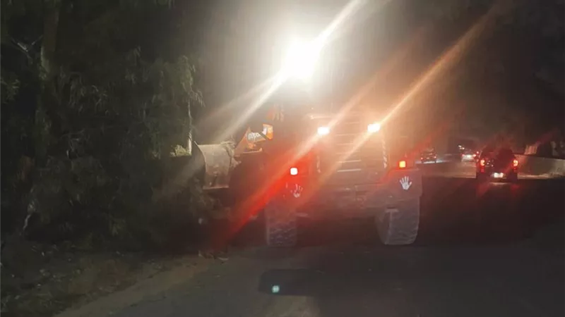 إغلاق جزئي لطريق الزقازيق – الإسماعيلية الزراعي بسبب سقوط شجرة