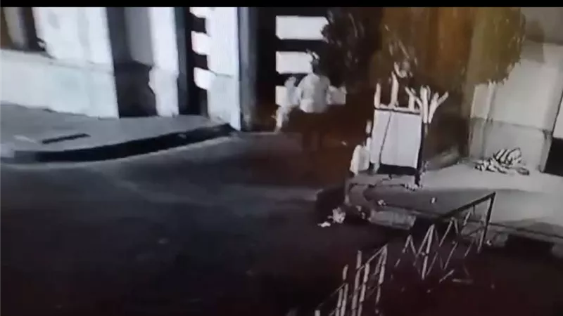  كلب ضال يهاجم عامل أمن في المحلة ويقضم جزءاً من أذنه