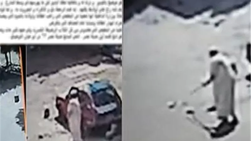 أمن القاهرة يكشف ملابسات فيديو «ضرب الكلاب الصغيرة» المثير للجدل