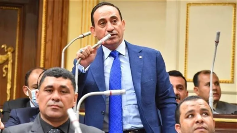 تحرك برلماني للتعاقد مع اعضاء المهن الطبية للحد من أزمة عجز الأطباء